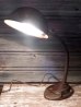 画像1: dp-170401-02 Industrial Goose neck Desk Lamp (1)