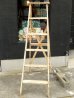 画像1: dp-170402-06 Vintage Wood Ladder (1)