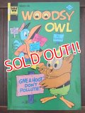 bk-170511-15 Woodsy Owl / Whitman 1974 Comic