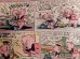 画像4: bk-140114-05 Looney Tunes /  DELL 1950's Comic