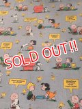 ct-170601-12 PEANUTS / 1970's Flat Sheet (Twin)