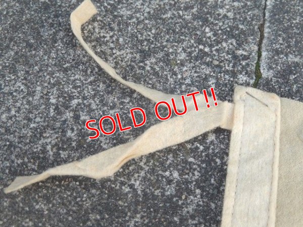 画像5: ct-170601-02 Disneyland / Vintage Pennant