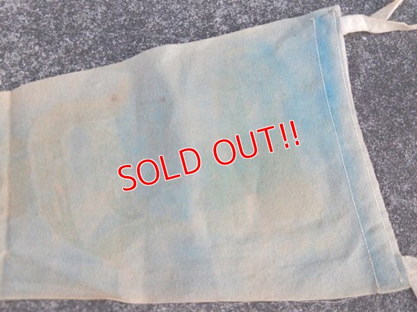画像6: ct-170601-02 Disneyland / Vintage Pennant