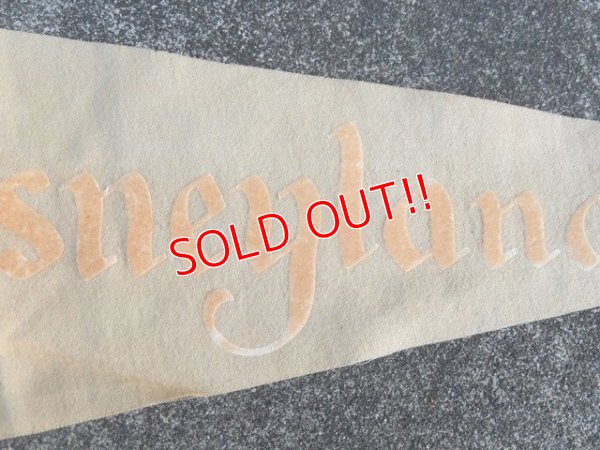 画像3: ct-170601-02 Disneyland / Vintage Pennant