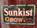 画像1: dp-170601-07 Sunkist / 1930's-1940's Porcelain Sign (1)