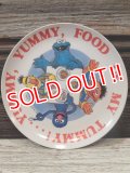 ct-170605-18 Sesame Street / 1980's Plastic Plate