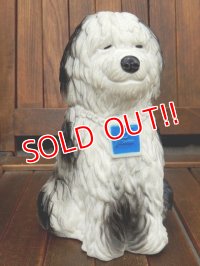 ct-170701-07 PF Saving / 1970's Shaggy Dog Coin Bank
