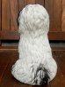 画像5: ct-170701-07 PF Saving / 1970's Shaggy Dog Coin Bank