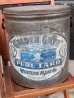 画像1: dp-170701-05 Golden Gate Pure Lard / 1930's Lard Can (1)