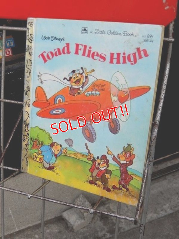 画像10: dp-120415-05 Wonder Books / Vintage Book Rack