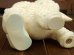 画像6: ct-170803-54 Sun Rubber / 1950's Lamb Squeak Doll