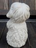 画像4: ct-170901-19 The Shaggy Dog / DELL 1960's Rubbe Doll (4)