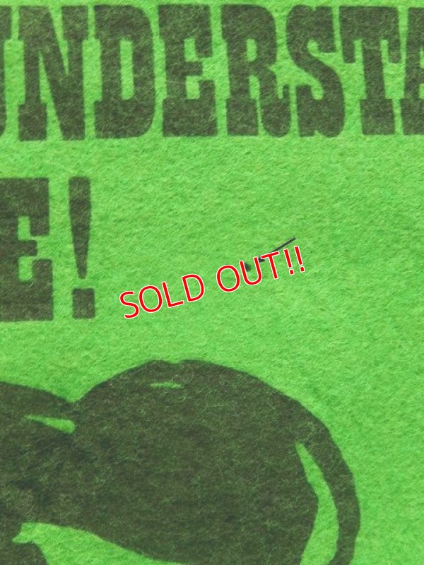 画像4: ct-171001-08 PEANUTS / 1960's Banner "Lucy" Green