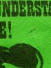 画像4: ct-171001-08 PEANUTS / 1960's Banner "Lucy" Green