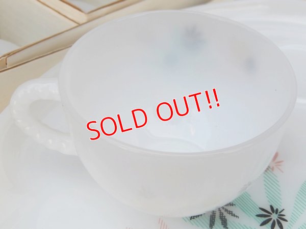 画像10: kt-170605-04 Federal / 1960's Patio 8 Piece Snack Set