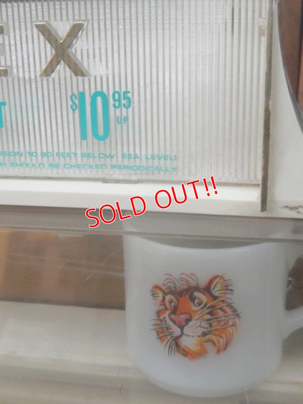 画像10: dp-171201-03 TIMEX / 1970's Display Case