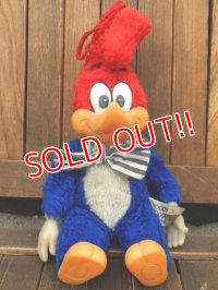 ct-171201-02 Woody Woodpecker / 1982 Plush Doll