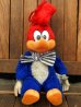 画像1: ct-171201-02 Woody Woodpecker / 1982 Plush Doll (1)