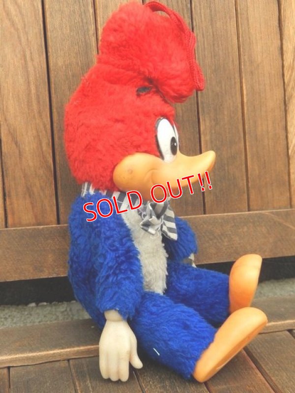 画像4: ct-171201-02 Woody Woodpecker / 1982 Plush Doll