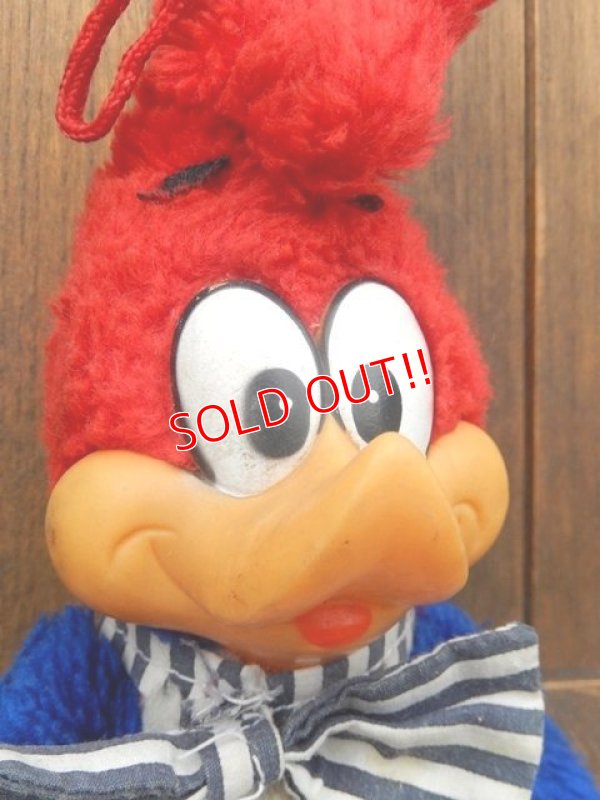 画像2: ct-171201-02 Woody Woodpecker / 1982 Plush Doll