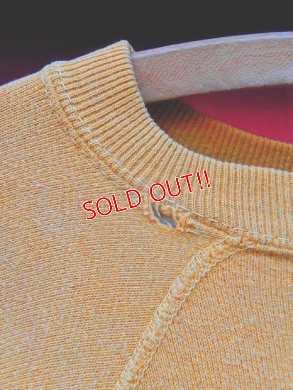 画像6: ct-171206-80 Snoopy / Charlie Brown Spruce 1960's Sweat