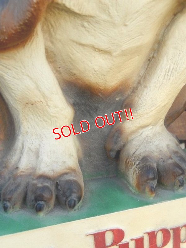 画像3: ct-180110-15 Hush Puppies / 1970's Store Display