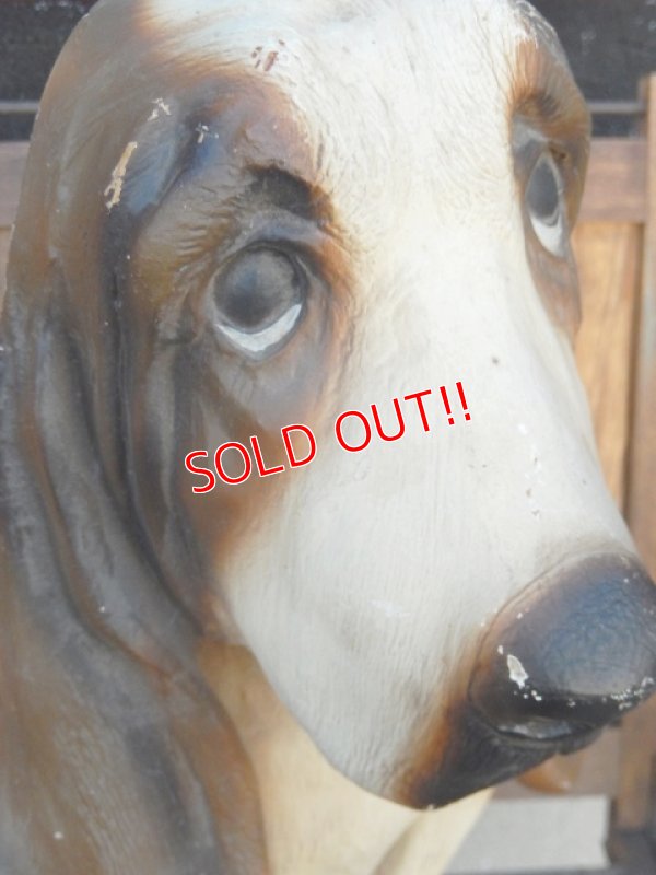 画像8: ct-180110-15 Hush Puppies / 1970's Store Display