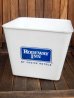 画像1: dp-171206-60 RODEWAY INN / Plastic Case (1)