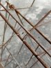 画像8: dp-180110-24 PermaBooks / 1950's Wire Rack