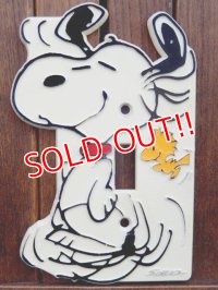ct-180201-09 Snoopy / 1970's Switch Cover