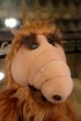 画像2: ct-180201-34 ALF / 1980's Plush Doll (2)