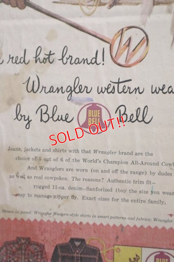 画像4: dp-180201-37 BLUE BELL Wrangler / 1960's Poster