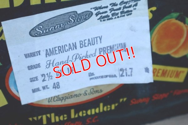 画像12: dp-180110-12 Vintage Wood Box