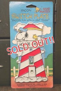ct-180302-04 Snoopy / 1960's Switch Plate