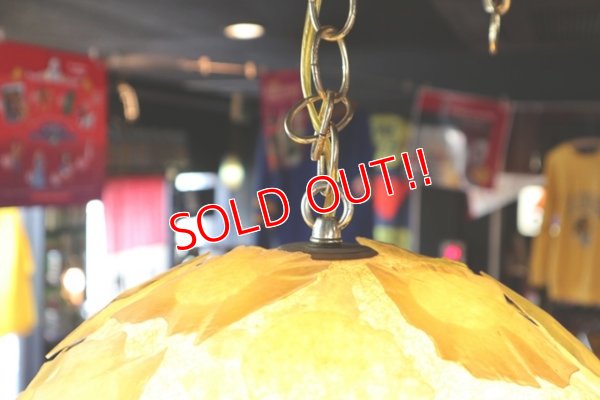 画像10: dp-171101-16 Vintage Pendant Light