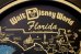 画像3: ct-180401-30 Walt Disney World / 1970's Serving Tray (Black)