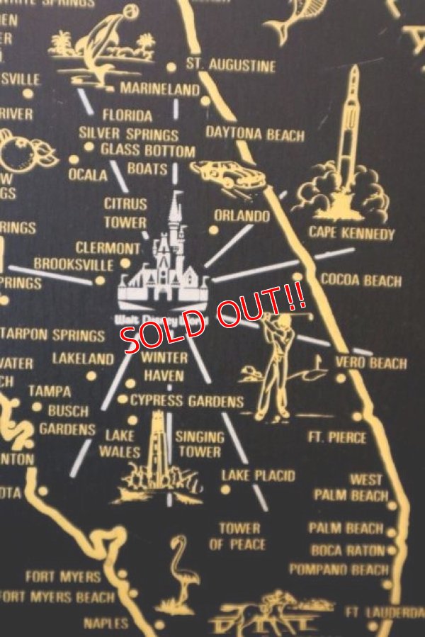 画像4: ct-180401-30 Walt Disney World / 1970's Serving Tray (Black)