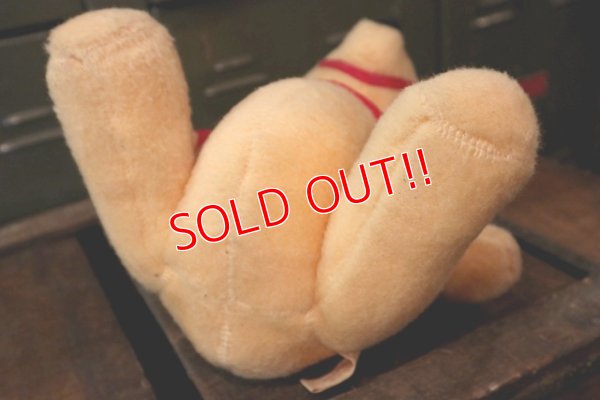 画像8: ct-180401-28 Winnie the Pooh / 1978 Grad Nite Plush Doll