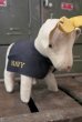 画像1: ct-180401-07 U.S.NAVY / 1950's Goat Mascot Doll (1)