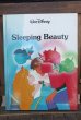 画像1: ct-180401-43 Walt Disney's / Sleeping Beauty 1980's Picture Book (1)