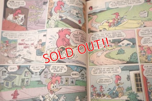 画像2: bk-131211-12 Woody Woodpecker / Gold Key 1970 Comic