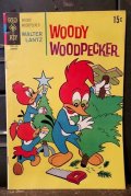 bk-131211-12 Woody Woodpecker / Gold Key 1970 Comic