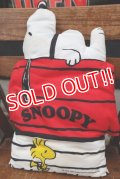 ct-18-508-01 Snoopy / 1970's Pillow Doll