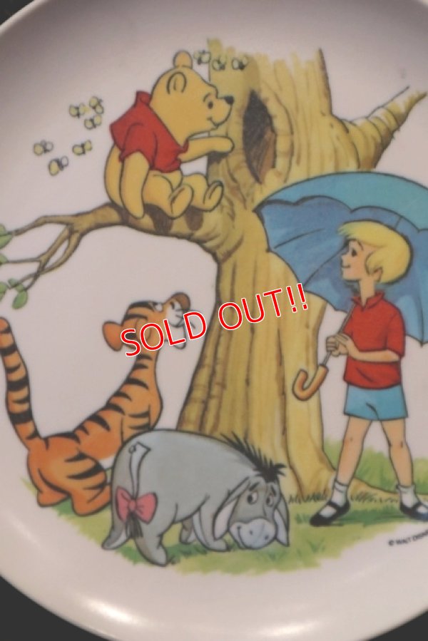 画像2: ct-180514-01 Winnie the Pooh / 1970's Plastic Plate