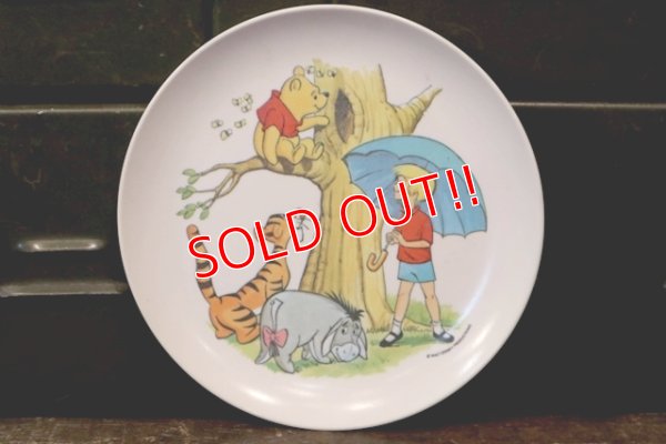 画像1: ct-180514-01 Winnie the Pooh / 1970's Plastic Plate