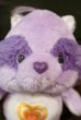 画像2: ct-150720-09 Care Bears / 1980's Cousins Bright Heart Raccoon Plush Doll (2)
