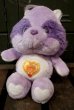 画像1: ct-150720-09 Care Bears / 1980's Cousins Bright Heart Raccoon Plush Doll (1)