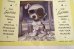 画像3: dp-150204-14 GIG / 1966 Big Eyes Dog Poster