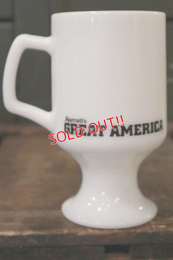 画像4: kt-180802-02 Wile E. Coyote / Federal 1970's Footed Mug