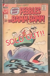 bk-180801-06 Teen-Age Pebbles and Bamm-Bamm / Charlton 1973 Comic